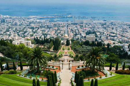 Connect and Cultivate: Building Friendships in Israel