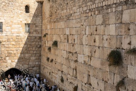 Terra Sancta, 9 days tour (Catholic groups)