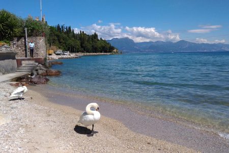 Full day discovering Garda Lake from Milan