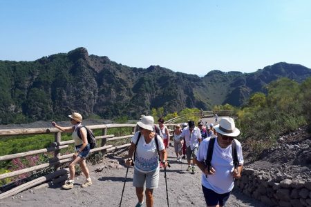 VESUVIUS VOLCANO TOUR (ita/engl/french/spanish)