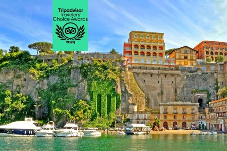 Private Tour to Sorrento Coast Pompeii and Vesuvius from Naples