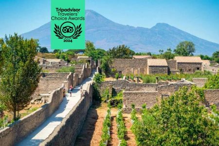 Pompeii, Herculaneum and Wine Tasting from Naples