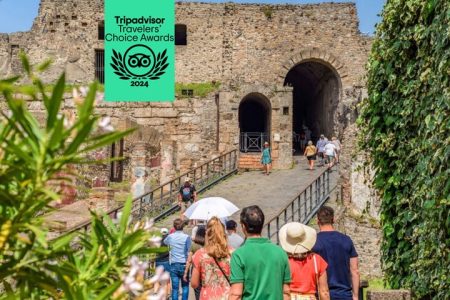 Pompeii: Tour with Priority Entrance and Guide from Naples