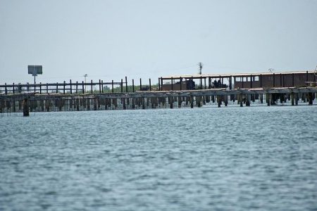 Delta del Ebro: Oysters and rice – From Salou / Tarragona