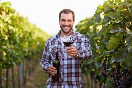 Private Frascati Day Trip With Lunch & Wine Tasting in a Vineyard