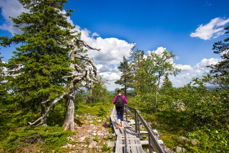 Korouoma Canyon Hike Tour & Barbeque – Small Group