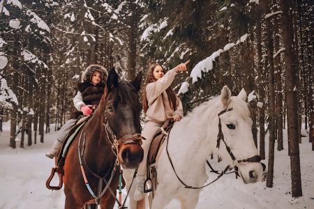 Winter Horse Riding in Arctic Nature – Small Group