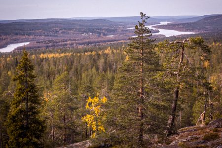 PHOTOGRAPHY EXPEDITION TO THE NATURE