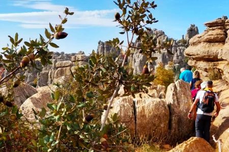 Antequera and El Torcal private trip from Costa del Sol