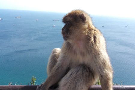 Gibraltar private tour from Costa del Sol