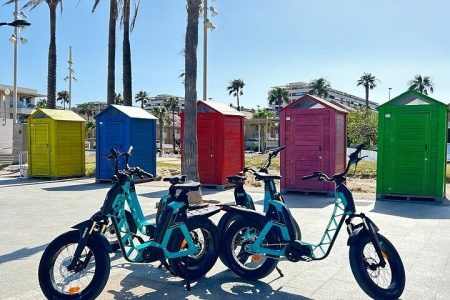 Valencia all in one: beaches old town city of arts by e-bike.