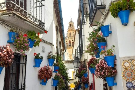 From Costa del Sol: private trip to Cordoba