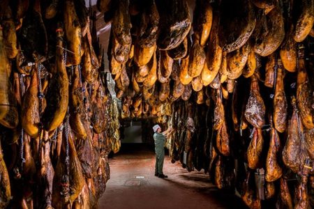 Tour through the Iberian ham drying room and Seville – pick up at the Hotel