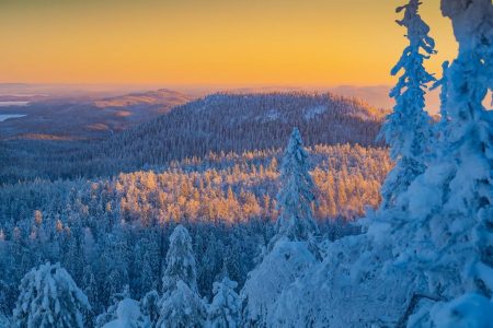 Auttiköngäs Winter Wilderness Hike & Barbeque – Small Group