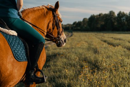 Horse Riding in Arctic Wilderness – Small Group