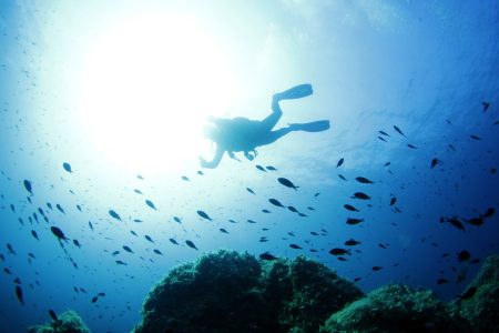 From San Teodoro: diving for professionals in Tavolara and Molara