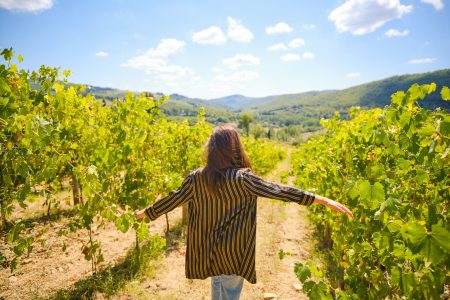 Private Half-Day Tour from Florence to Chianti Wine Region