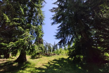 Local Adventures in the Rhodope Mountains