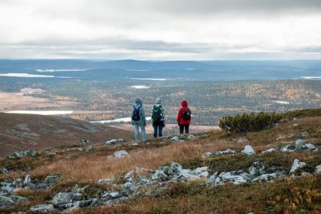 Guided hike at local fells of Lapland