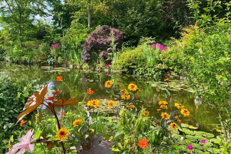 Private Giverny Half-day Trip from Paris by Mercedes Lunch option.