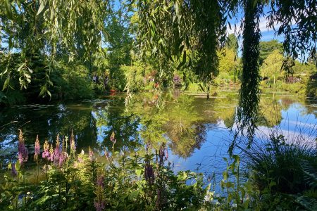 Giverny Half-day Small-group max. 7 people Trip from Paris.