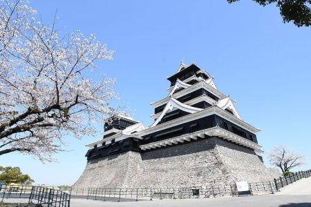 Private Day Trip to Kumamoto & Asakura from Fukuoka with Minibus