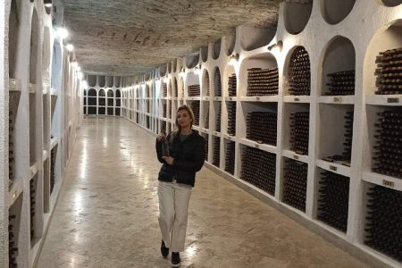 CRICOVA Winery tour with tasting from Chisinau