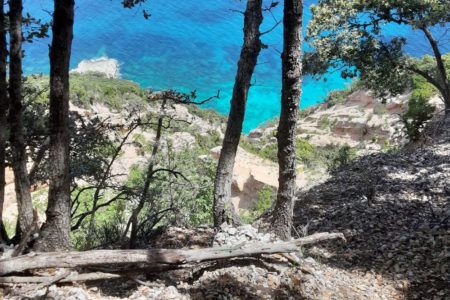 From Baunei: trekking to Cala Mariolu