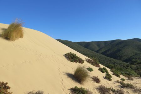 From Cagliari: guided tour through the mines and dunes of Piscinas