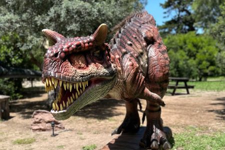 Discover dinosaurs in Porto Conte Park in Alghero