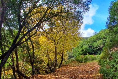 Castiadas: trekking in the S’Acqua Callenti forest