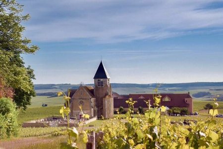 Private Burgundy 3 Domaines Chateau Pommard Chablis 15 Wines Trip from Paris