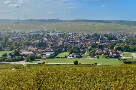 Private Burgundy 4 Domains 20 Chablis Wines tasting Trip from Paris.