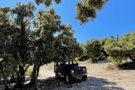 From Cala Gonone: gastronomy and crafts jeep tour in Dorgali