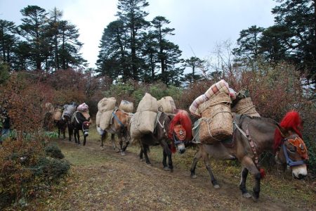 10 Days Druk Path Trek in Pristine Bhutan