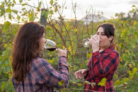 Two-hour winery tour with tasting in Iglesias