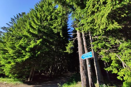 Private Vitosha Mountains Hiking with Black peak & Dragalevtsi Monastery