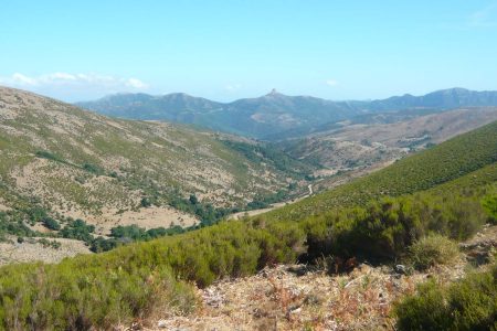 Trekking to Punta La Marmora with the centennial picnic