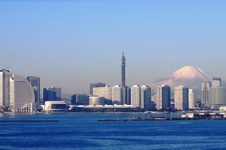 Guided Yokohama Port to Mt. Fuji Private Tour GREEN NUMBER PLATES