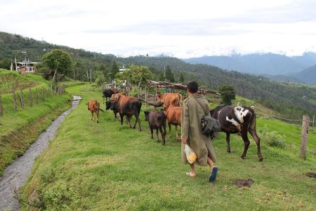 7 Days The Magical Kingdom of Bhutan