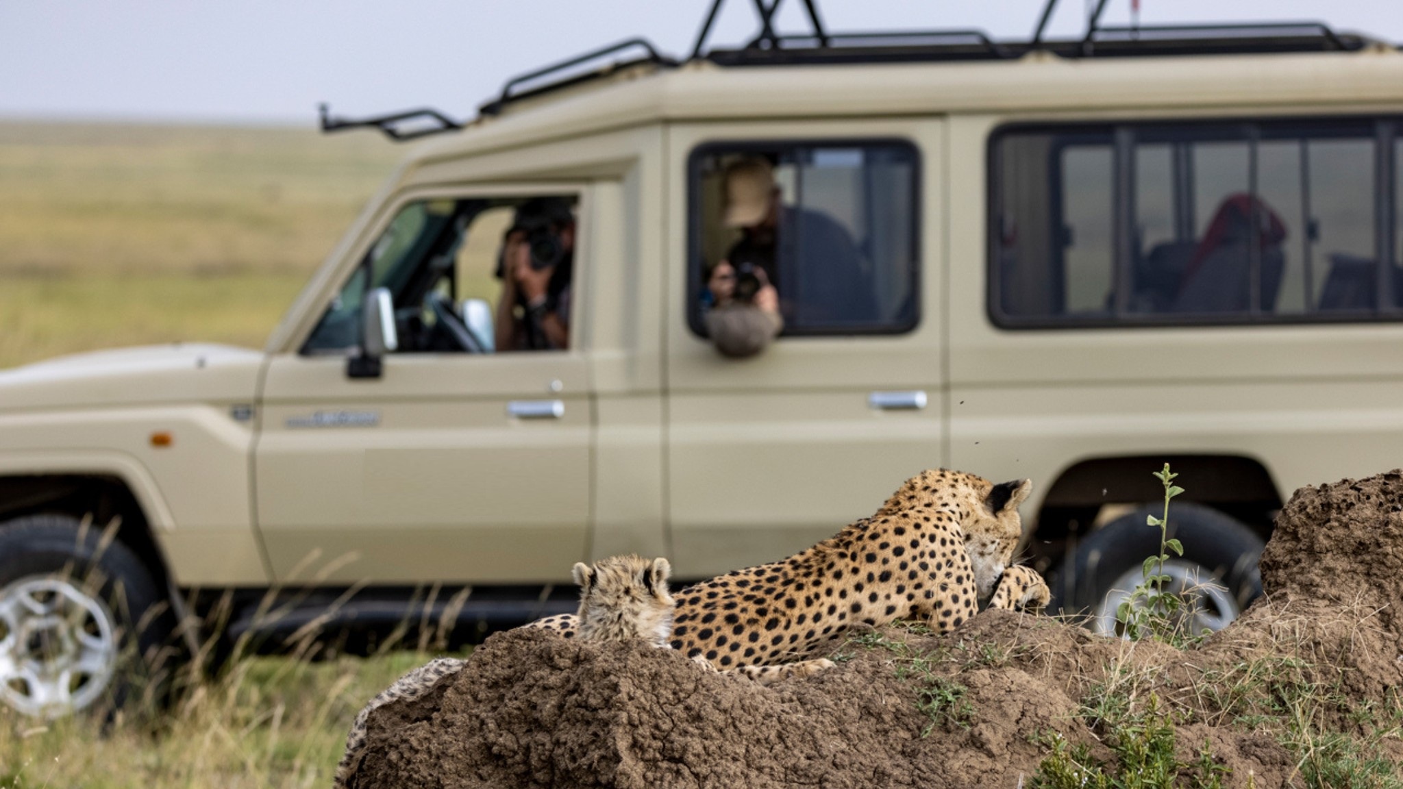 Day 3 ~ Manyara to Serengeti National Park 