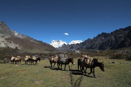 12 Days Wonders of Bhutan With 3-Day Gangtey Nature Trek