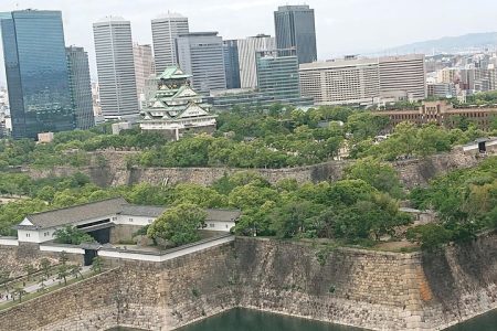 Osaka Castle & Dotonbori Lively One-Day Walking Tour