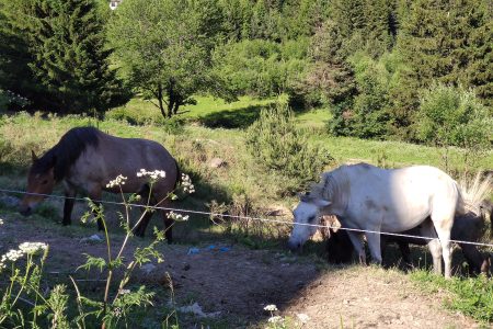 Superb Horse Riding on the Black Sea