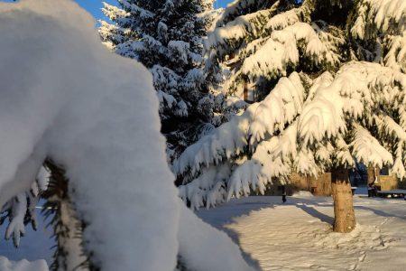 Private Snowshoeing Vitosha for 1 day