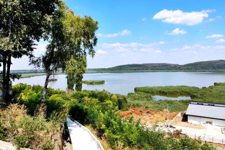 Self-Guided Birdwatching in Srebarna Reserve