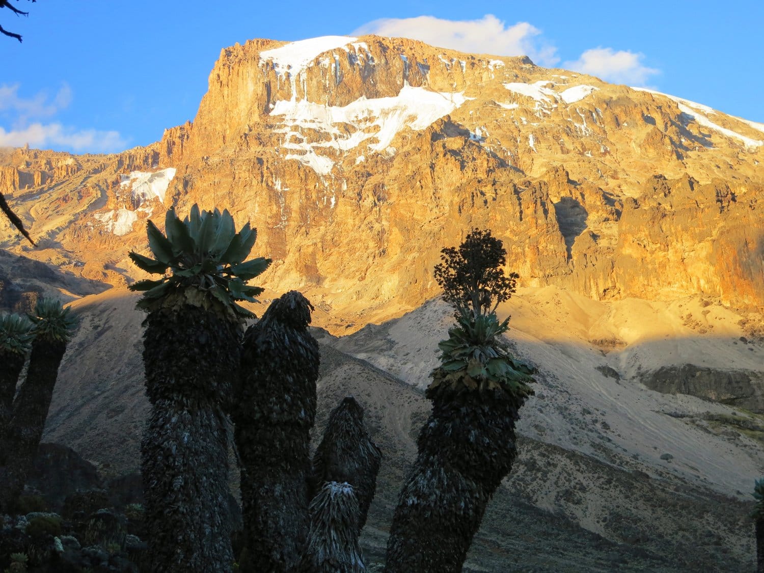 Day 4: Barranco Camp – Karanga Camp (4,035m) – Barafu Camp (4,673m)