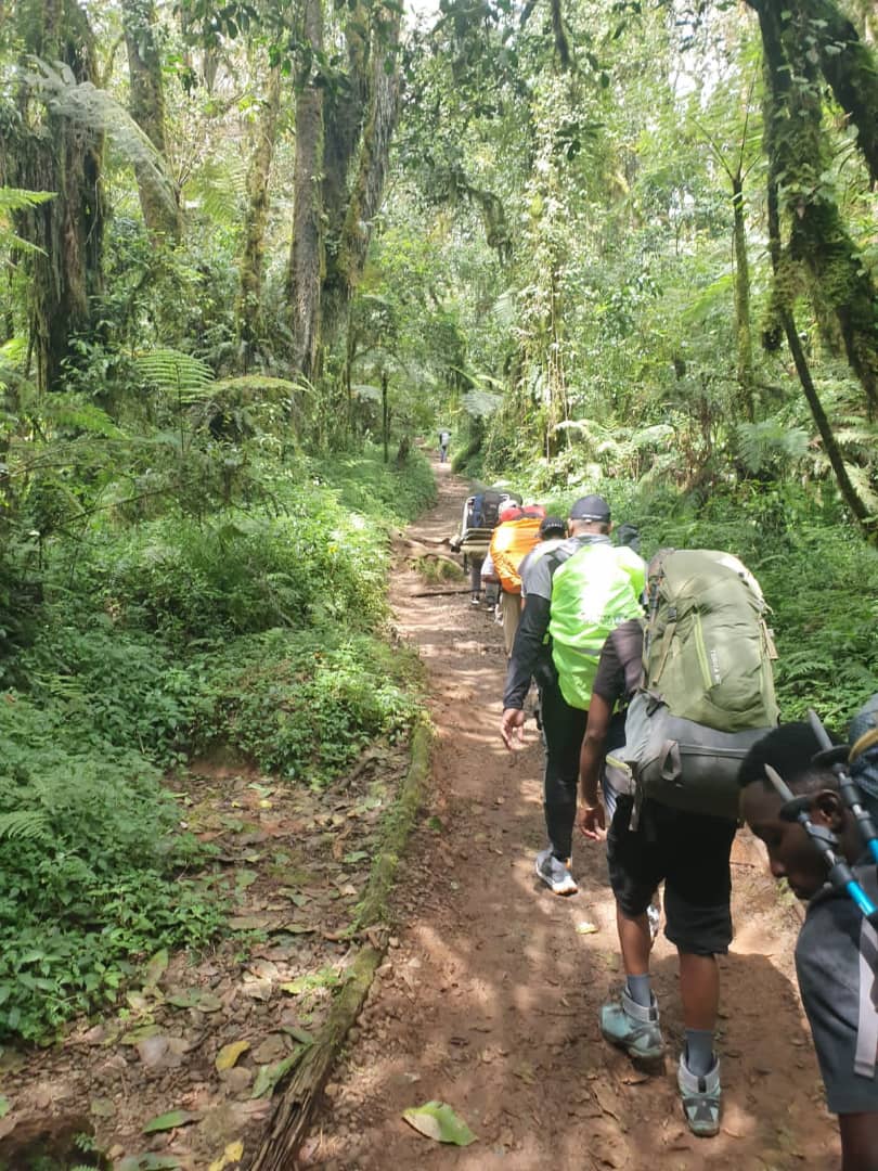 Day 1: Arusha – Lemosho Gate – Big Tree Camp (2,780m)