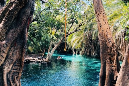 Materuni waterfall,coffee tour and chemka hotsprings