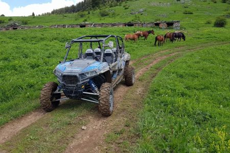 Private Buggy Experience All Seasons in Pamporovo